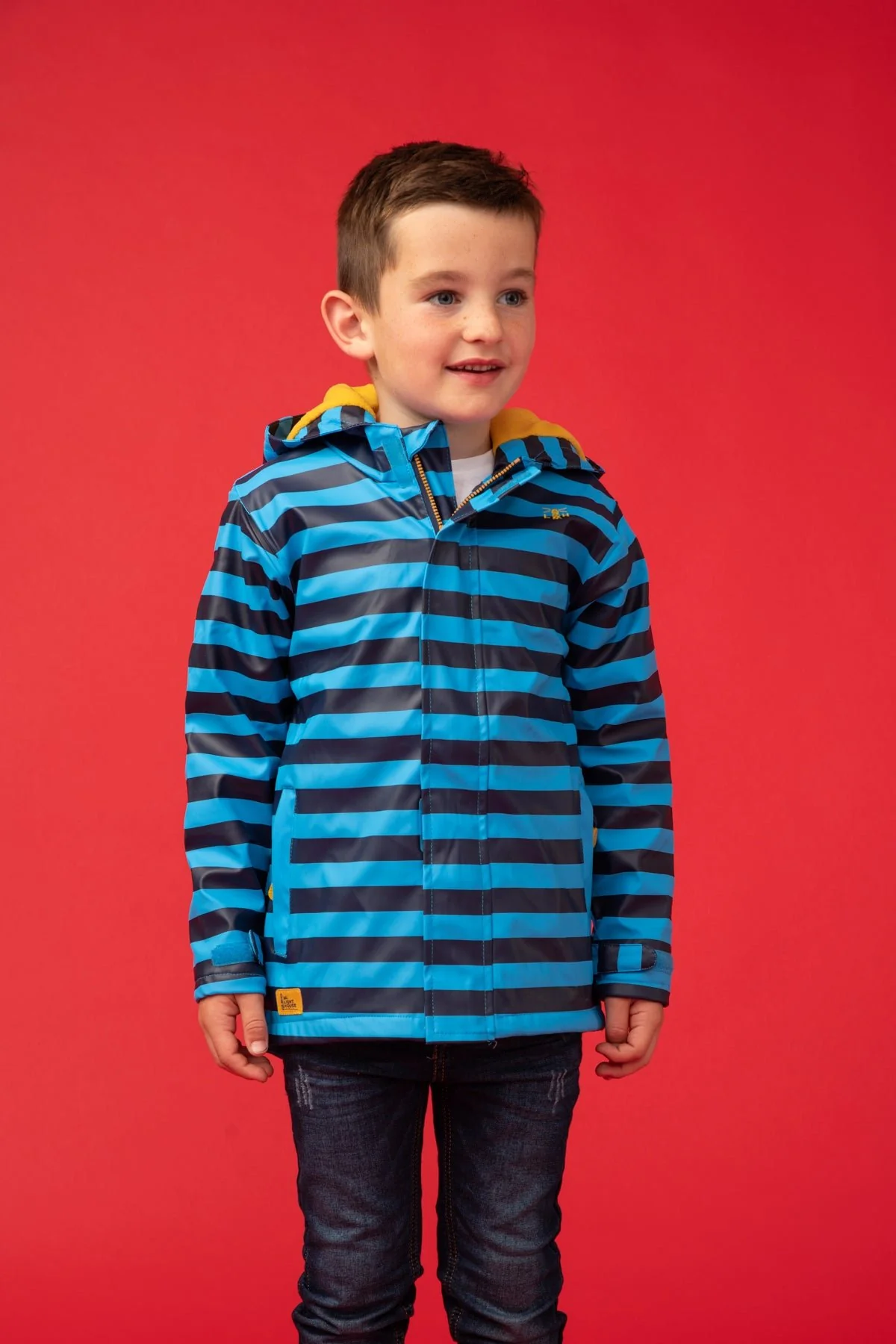 Adam Coat - Blue Eclipse Stripe - Image 2
