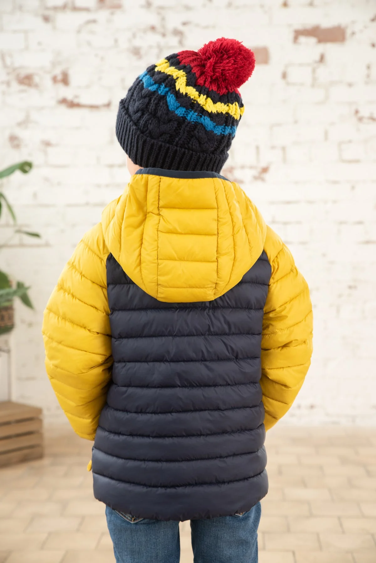 Carter Coat - Navy Yellow - Image 4