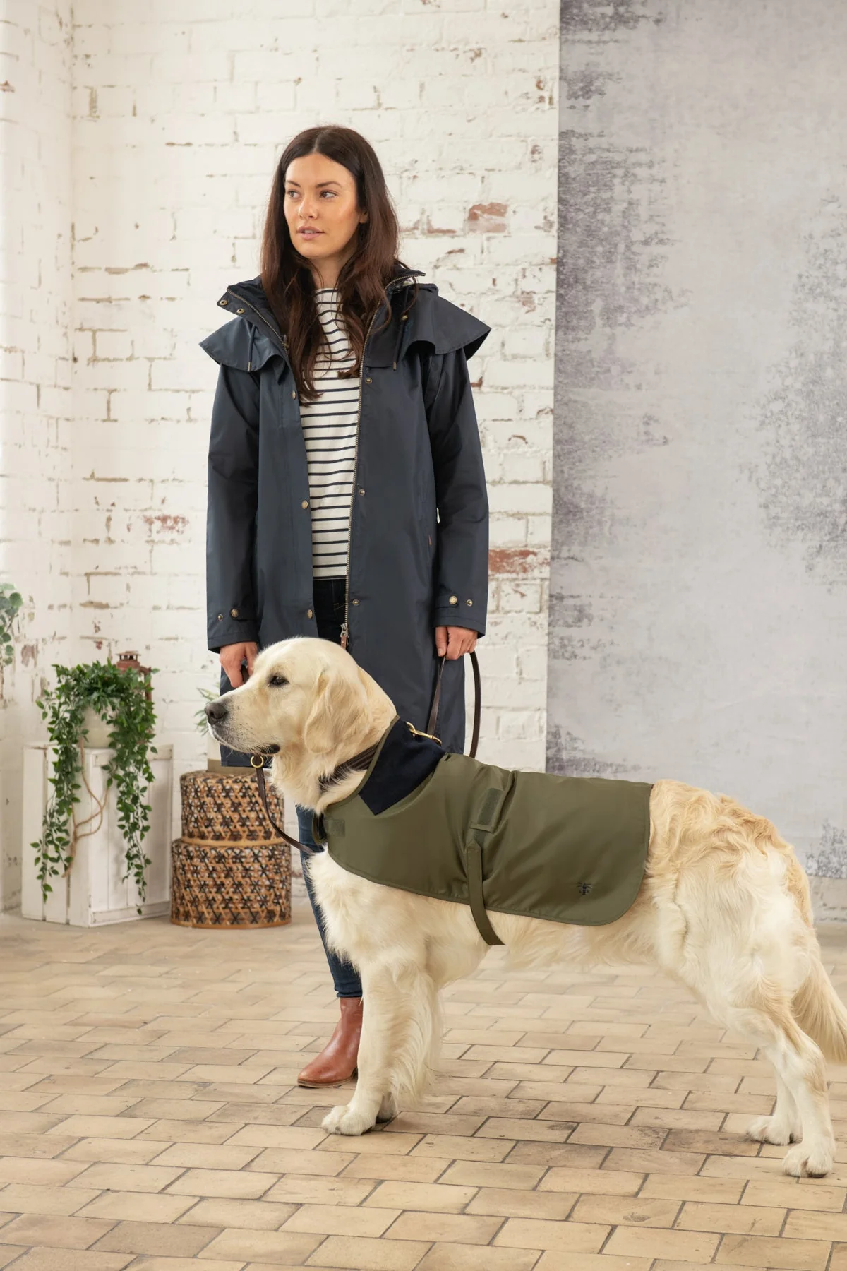 Heritage Dog Coat - Fern - Image 3