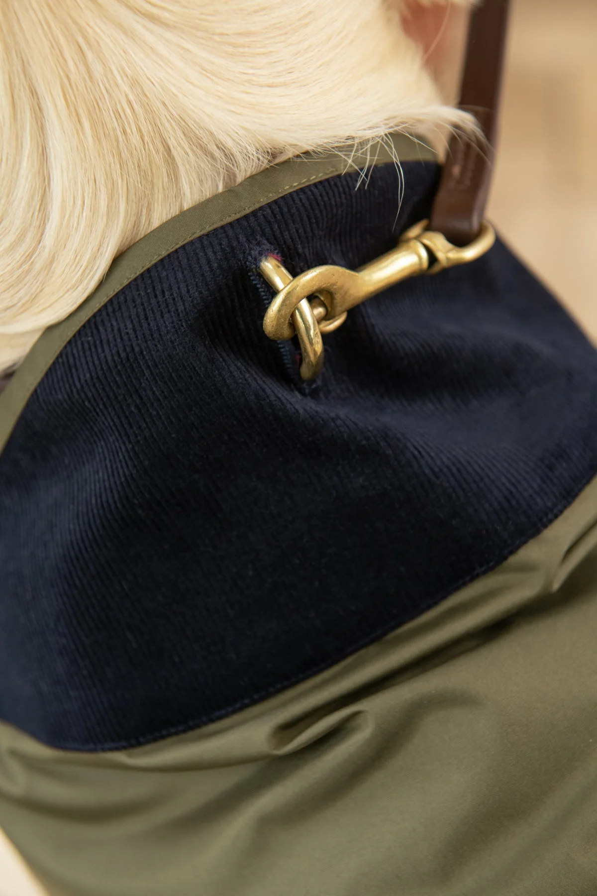 Heritage Dog Coat - Fern - Image 4
