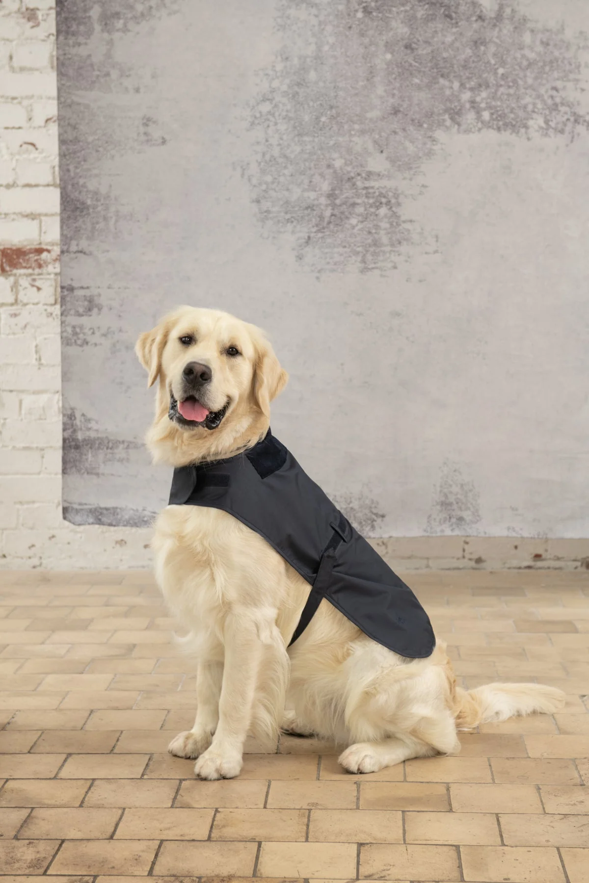 Heritage Dog Coat - Nightshade - Image 3