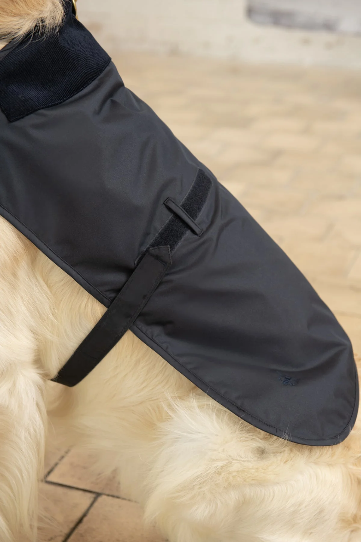Heritage Dog Coat - Nightshade - Image 4