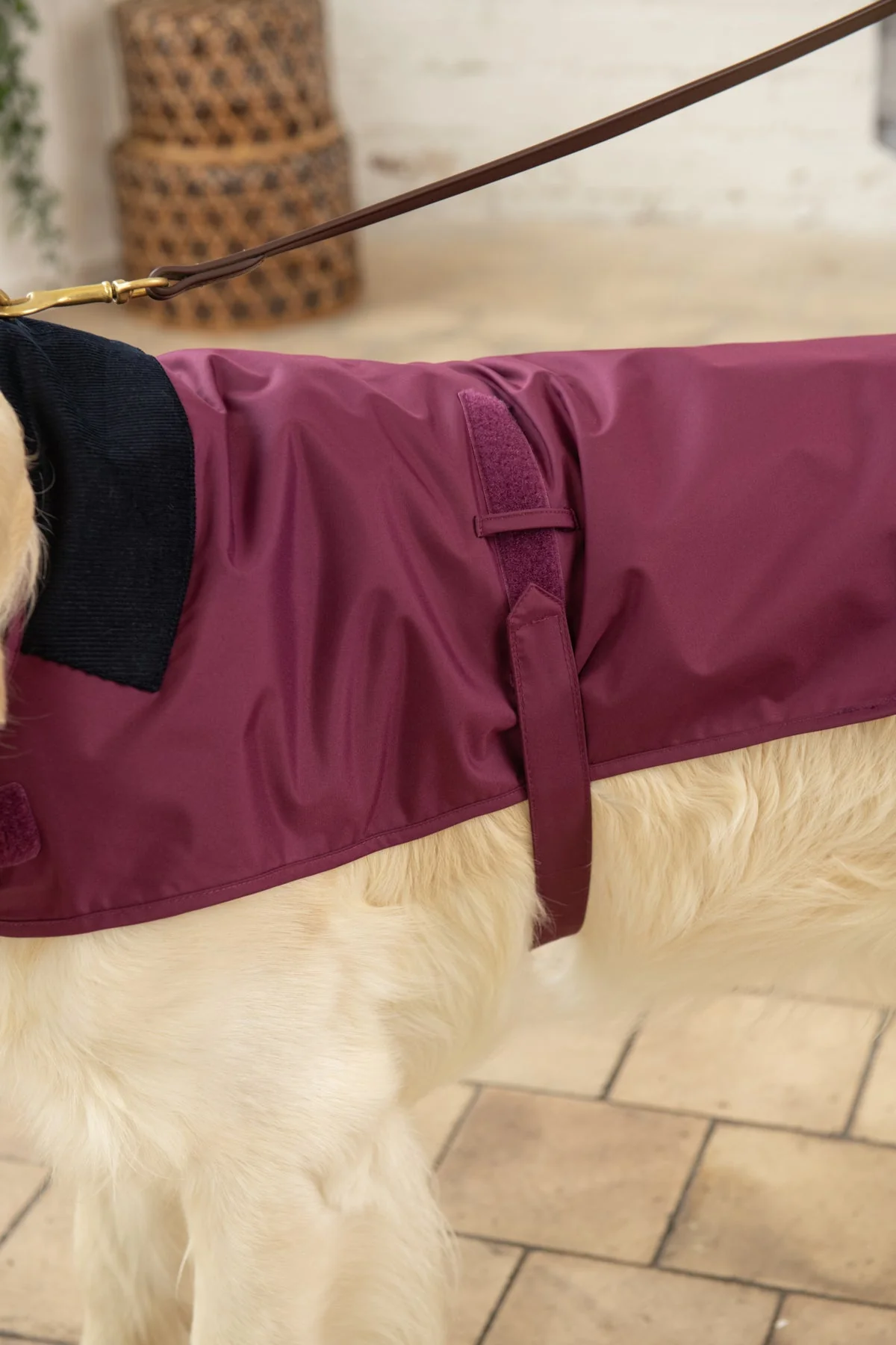 Heritage Dog Coat - Plum - Image 3