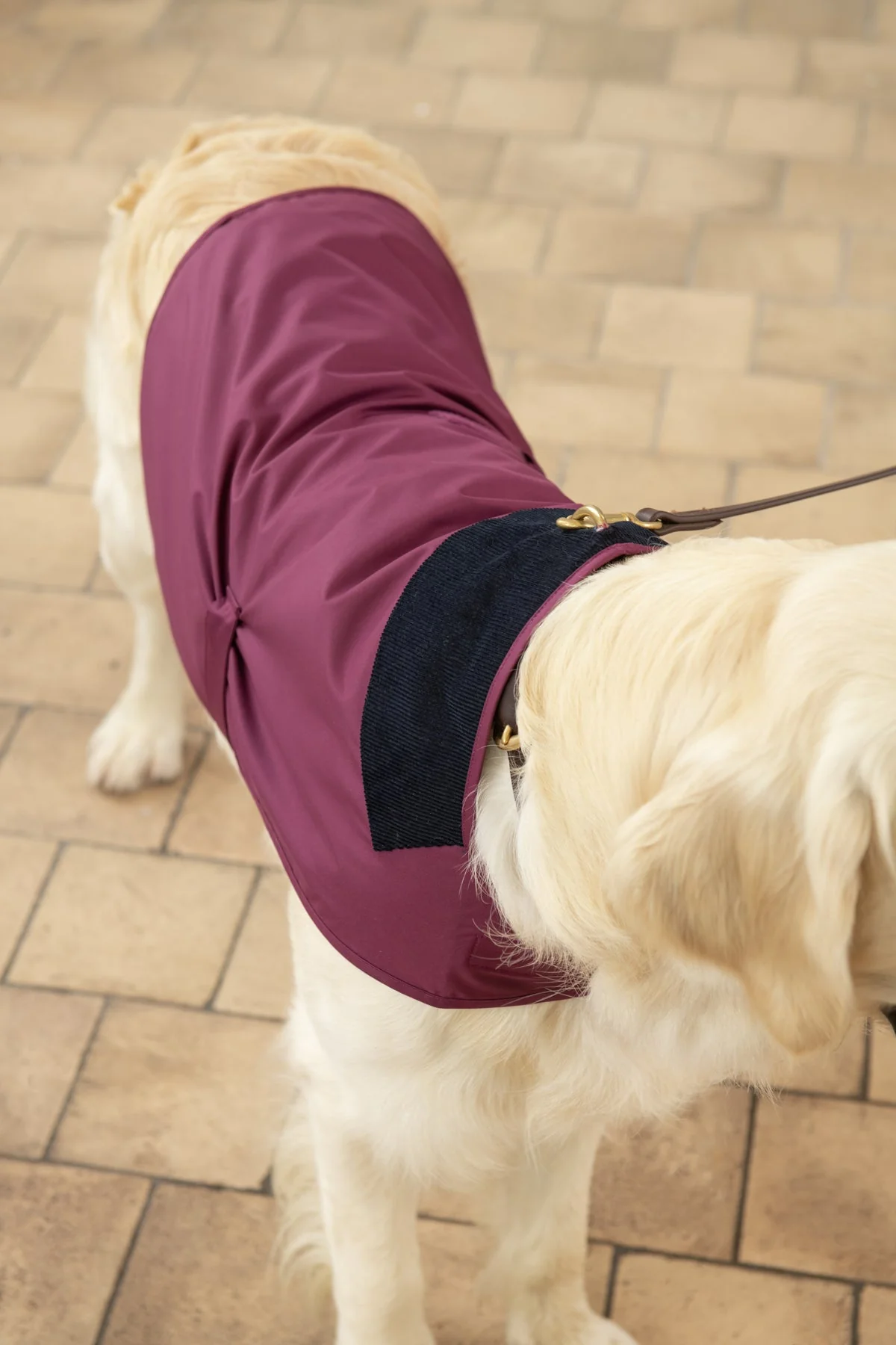 Heritage Dog Coat - Plum - Image 4