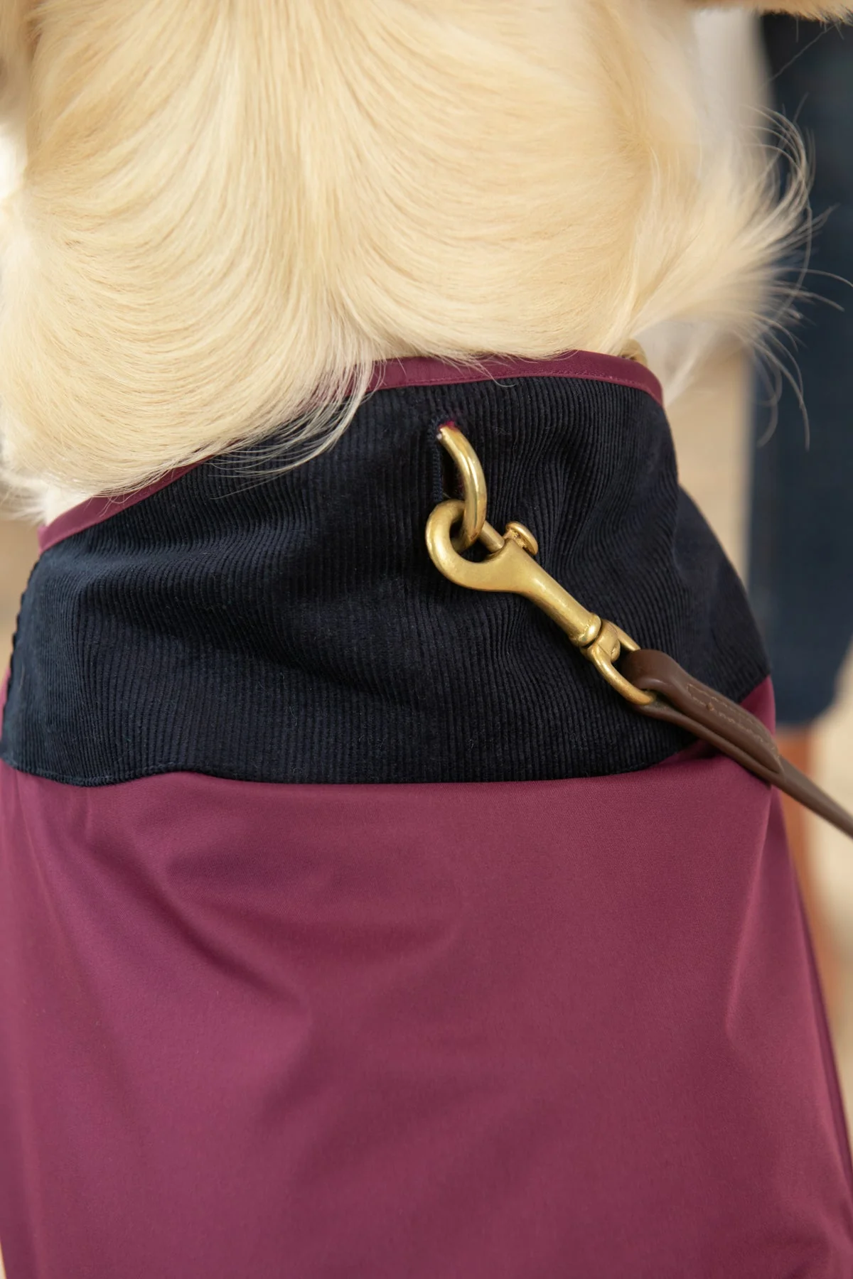 Heritage Dog Coat - Plum - Image 5
