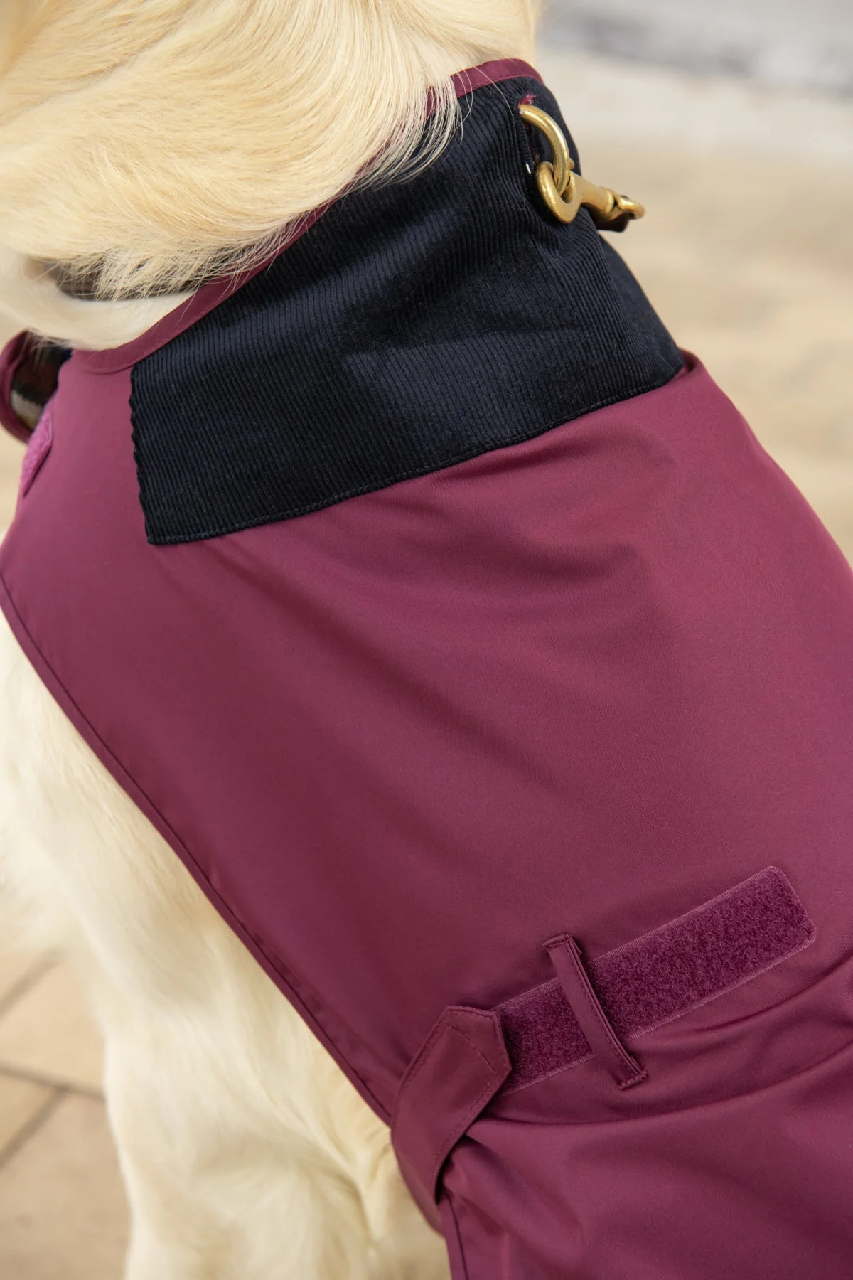 Heritage Dog Coat - Plum - Image 6