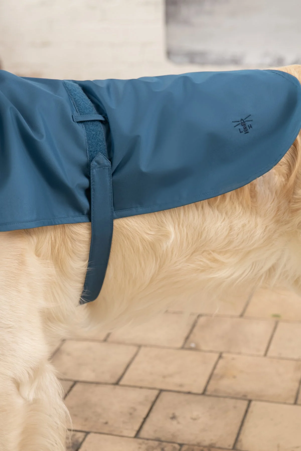 Heritage Dog Coat - Deep Sea - Image 3