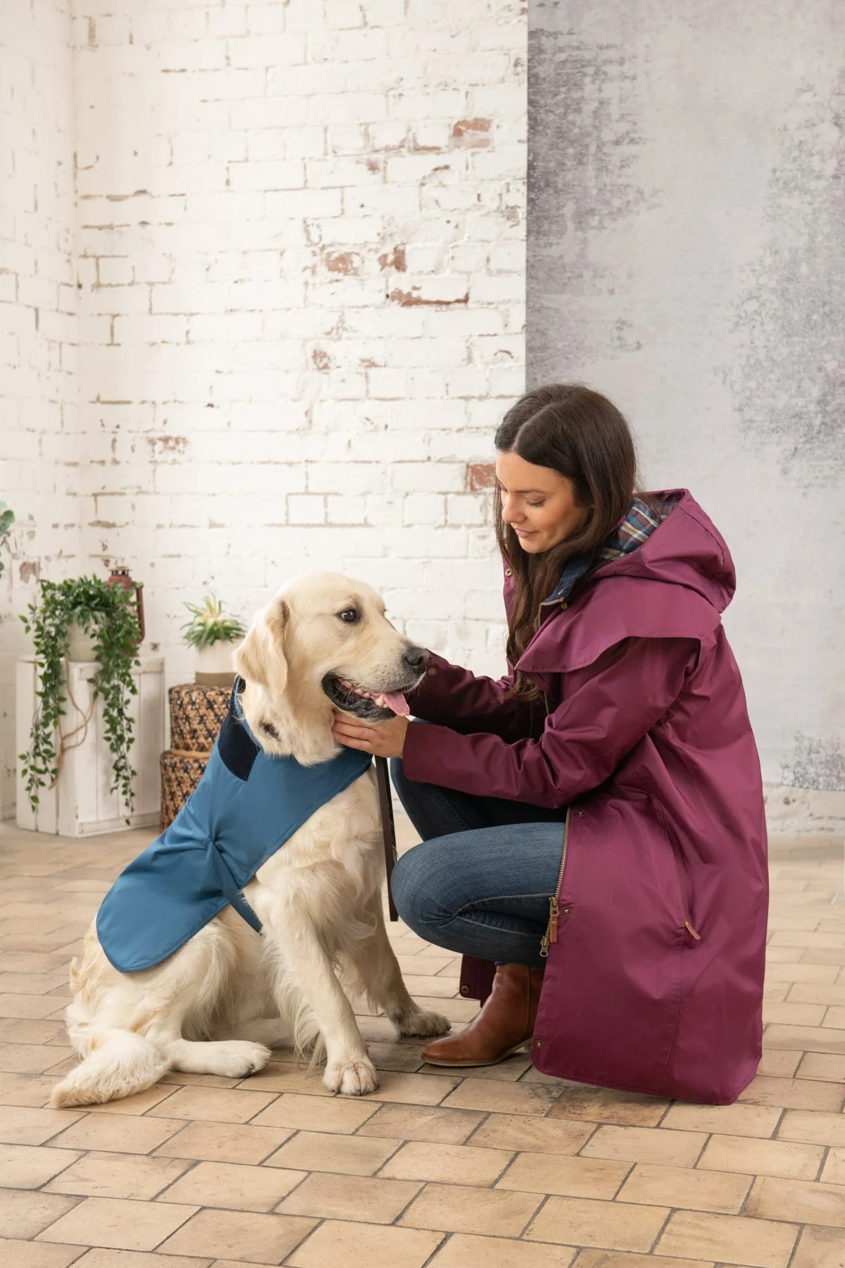 Heritage Dog Coat - Deep Sea - Image 4