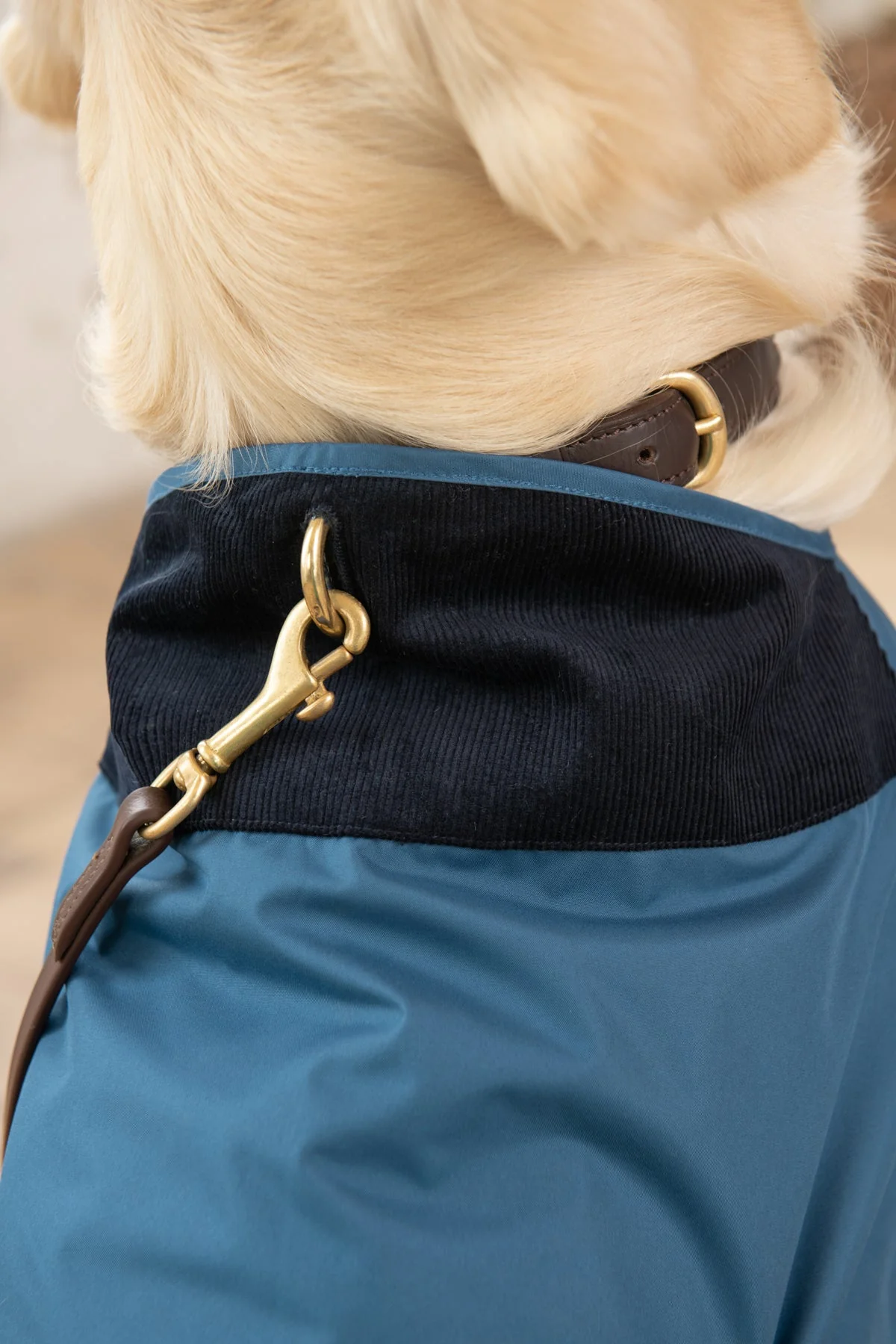 Heritage Dog Coat - Deep Sea - Image 5
